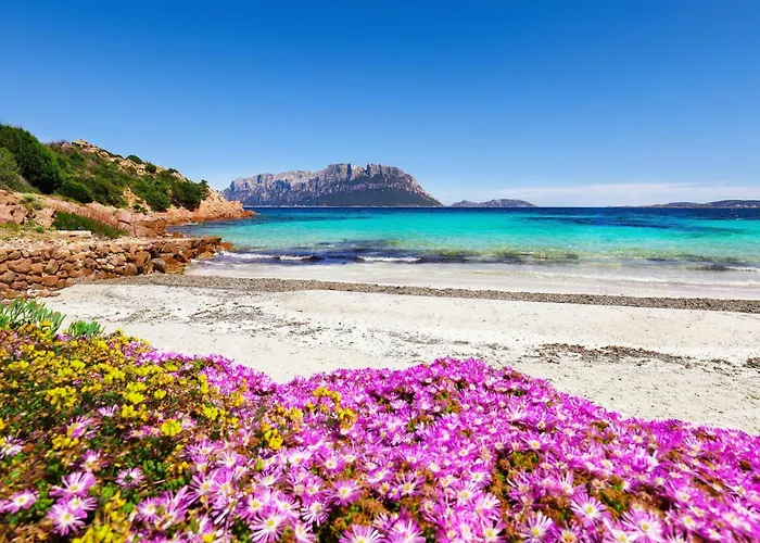 La Casa Di Paola - Happy *