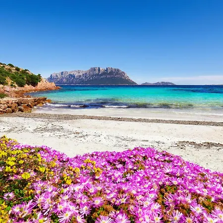 La Casa Di Paola - Happy *